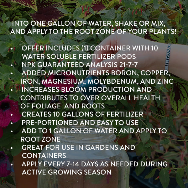 Rynx | Plant with Purpose Acid-Loving Plant Booster Water-Soluble Fertilizer - 10 Pieces