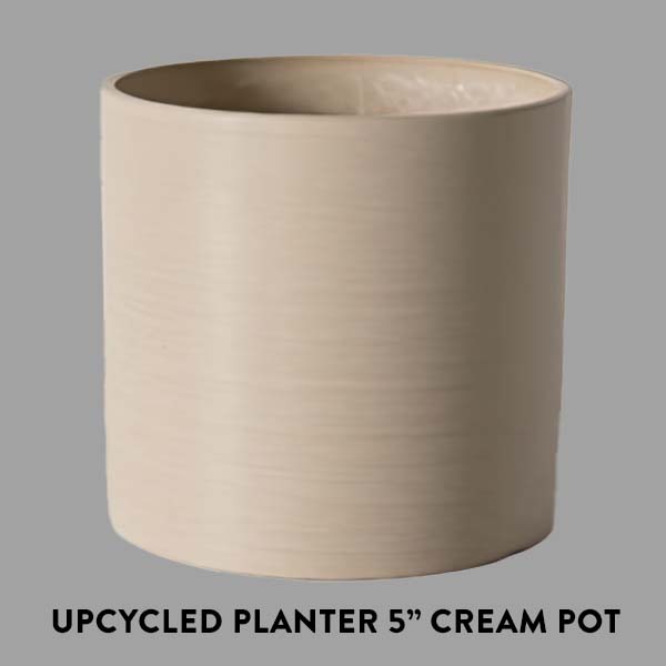 Rynx | Elkhorn houseplant, Choose your pot