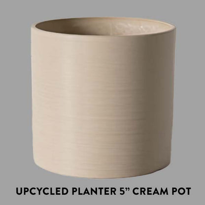 Rynx | Elkhorn houseplant, Choose your pot