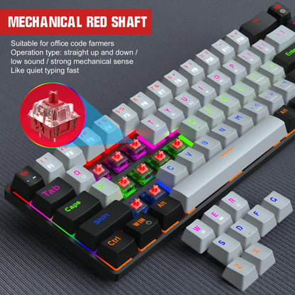 Rynx | HXSJ V800 68 Keys Type-C Wired Cool Backlight Mechanical Keyboard (Red Switch)