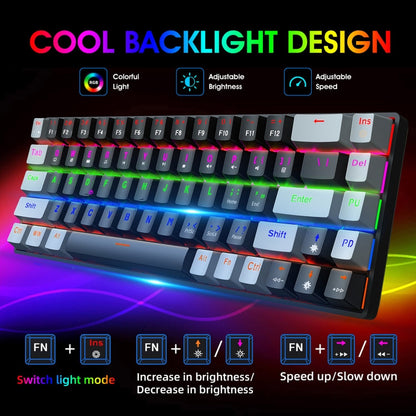 Rynx | HXSJ V800 68 Keys Type-C Wired Cool Backlight Mechanical Keyboard (Red Switch)