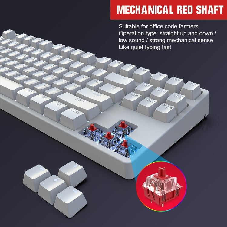 Rynx | HXSJ L600 87 Keys USB-C / Type-C Wired Red Switch Mechanical Keyboard with Cool Backlight (Black)