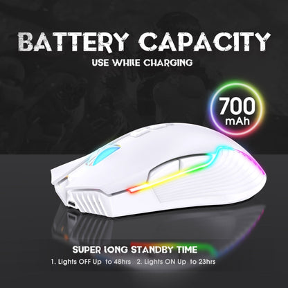 Rynx | ONIKUMA CW905 2.4G RGB Lighting Wireless Mouse (Gray White)
