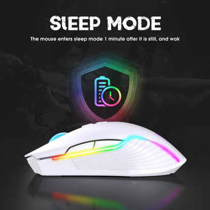 Rynx | ONIKUMA CW905 2.4G RGB Lighting Wireless Mouse (Gray White)