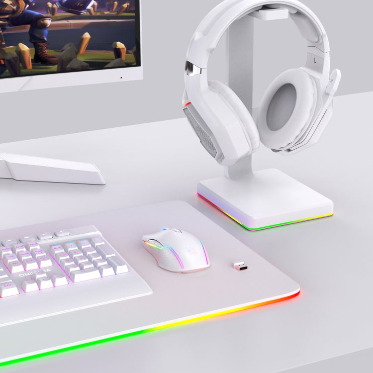 Rynx | ONIKUMA CW905 2.4G RGB Lighting Wireless Mouse (Gray White)