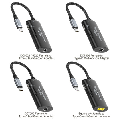 Rynx | DC7406 + Type-C + USB Female to Type-C Multi-Function Adapter
