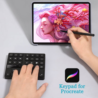 Rynx | 533 Bluetooth 5.0 Painting Keyboard 35 Keys Numeric Keypad Wireless Digital Keyboard (Black)