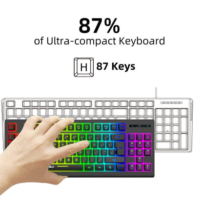 Rynx | HXSJ L100 87 Keys RGB Backlit Film 2.4G Wireless Keyboard (Black)