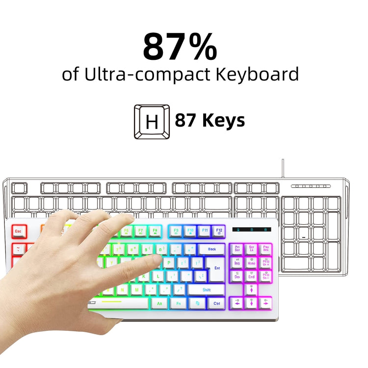 Rynx | HXSJ L100 87 Keys RGB Backlit Film 2.4G Wireless Keyboard (White)