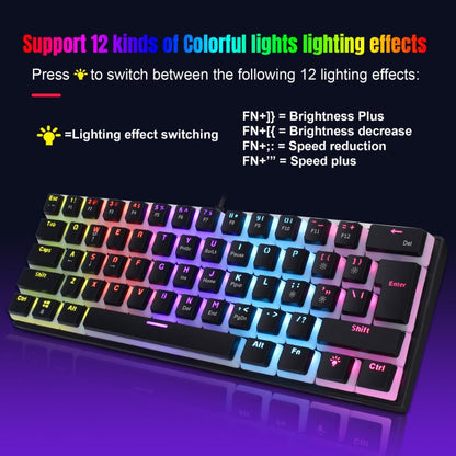 Rynx | HXSJ L700 Wired RGB Mechanical Keyboard 61 Pudding Keycaps (Black)