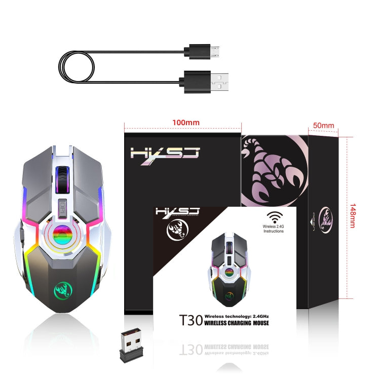Rynx | HXSJ T30 2400DPI RGB 2.4GHz Wireless Mouse (Metallic Gray)