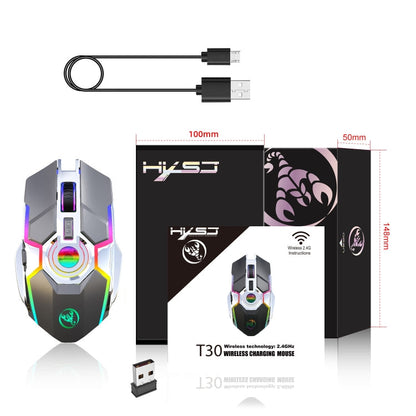 Rynx | HXSJ T30 2400DPI RGB 2.4GHz Wireless Mouse (Metallic Gray)