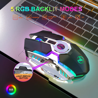 Rynx | HXSJ T30 2400DPI RGB 2.4GHz Wireless Mouse (Metallic Gray)