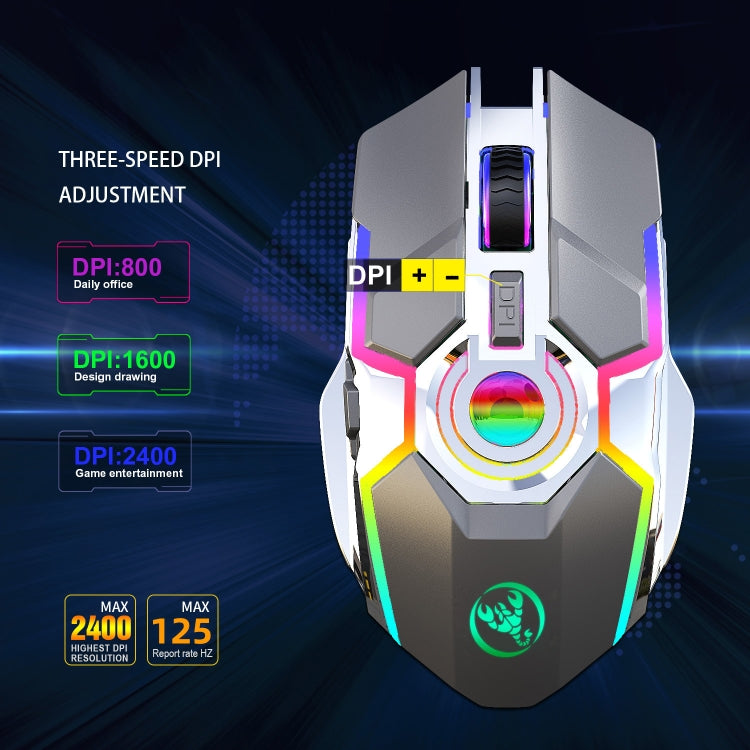 Rynx | HXSJ T30 2400DPI RGB 2.4GHz Wireless Mouse (Metallic Gray)
