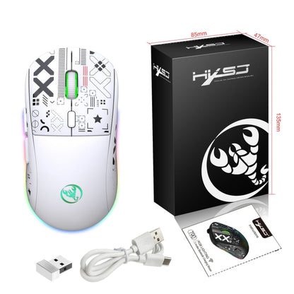 Rynx | HXSJ T90 RGB Light Three-Mode Wireless Gaming Mouse (White)
