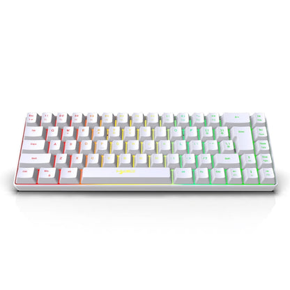 Rynx | HXSJ V200 Wired RGB Backlit Mechanical Keyboard 68 Keys Caps, Cable Length: 1.7m (White)