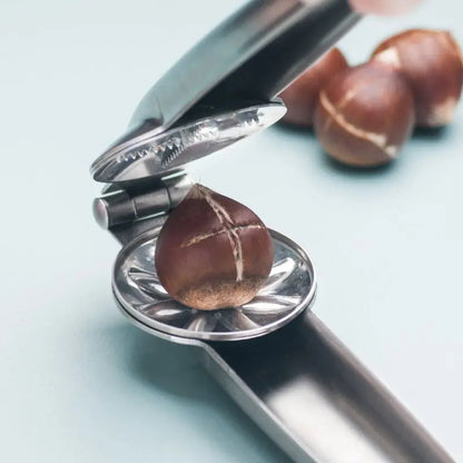 Rynx | Stainless Steel Chestnut Peeler for Easy Shelling