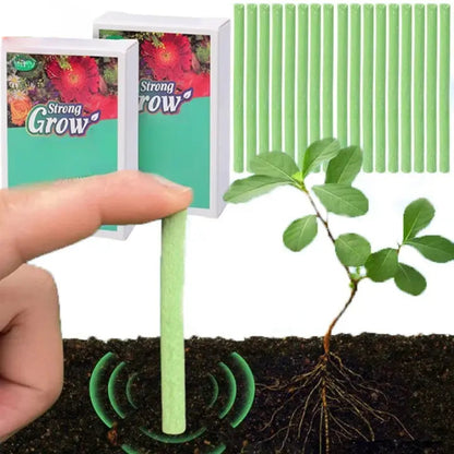 Rynx | Easy-to-use plant nutrient sticks for vibrant growth