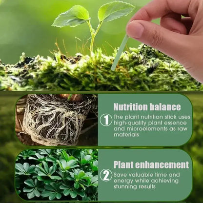 Rynx | Easy-to-use plant nutrient sticks for vibrant growth