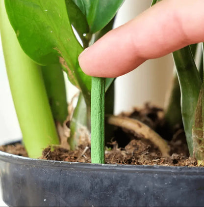 Rynx | Easy-to-use plant nutrient sticks for vibrant growth