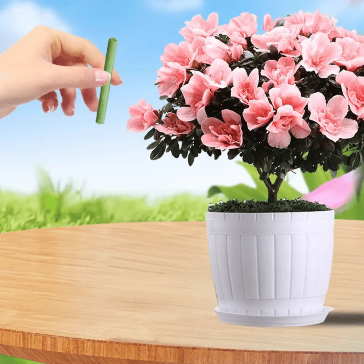 Rynx | Easy-to-use plant nutrient sticks for vibrant growth