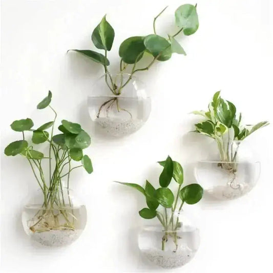 Rynx | Elegant Glass Wall Vase – Minimalist Plant Holder