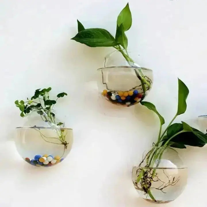 Rynx | Elegant Glass Wall Vase – Minimalist Plant Holder