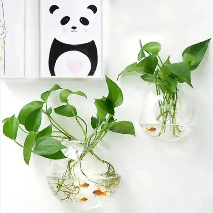 Rynx | Elegant Glass Wall Vase – Minimalist Plant Holder