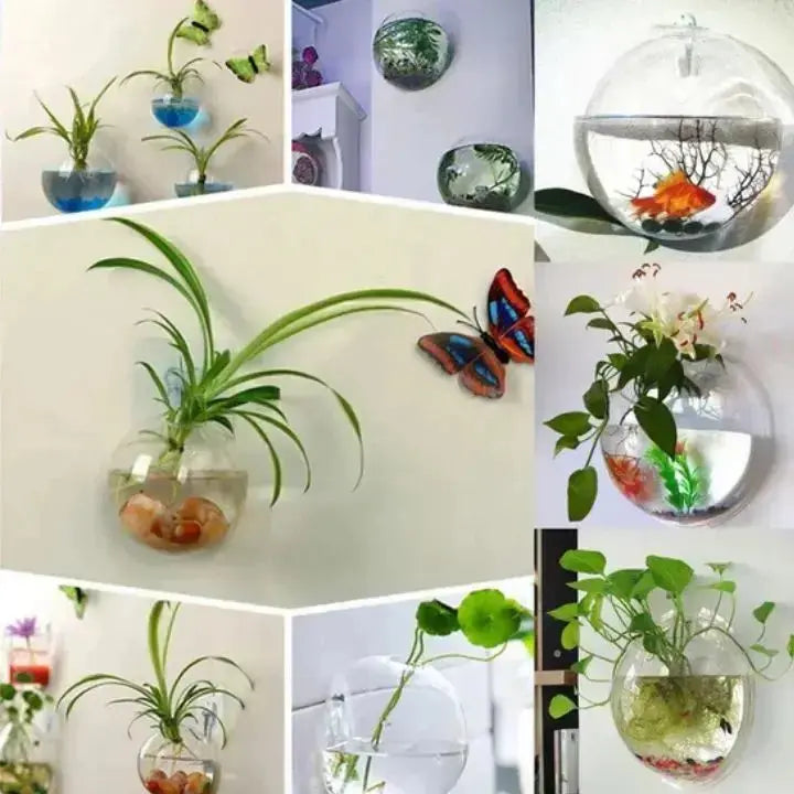 Rynx | Elegant Glass Wall Vase – Minimalist Plant Holder