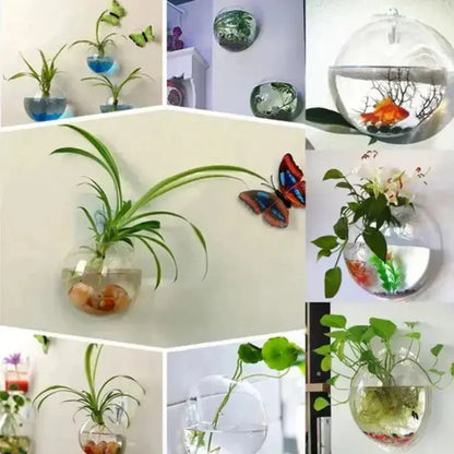 Rynx | Elegant Glass Wall Vase – Minimalist Plant Holder