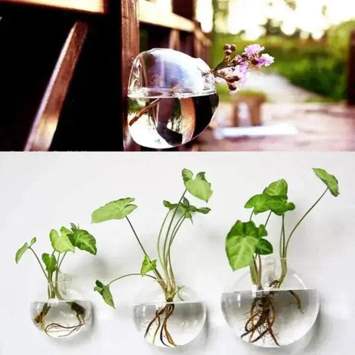 Rynx | Elegant Glass Wall Vase – Minimalist Plant Holder