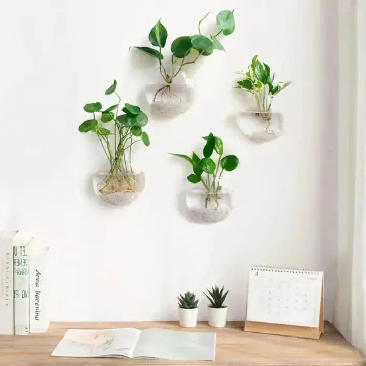 Rynx | Elegant Glass Wall Vase – Minimalist Plant Holder
