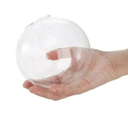 Rynx | Elegant Glass Wall Vases – For Cuttings & Decor