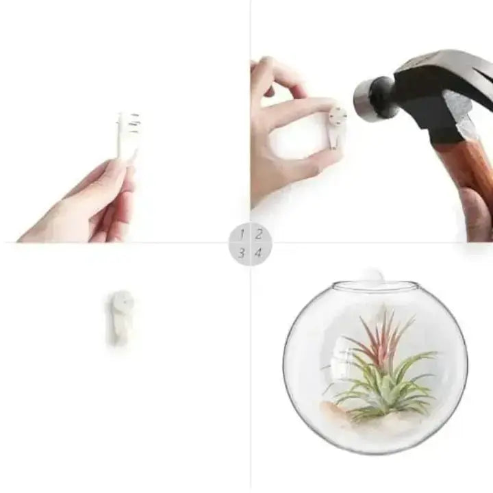 Rynx | Elegant Glass Wall Vase – Minimalist Plant Holder