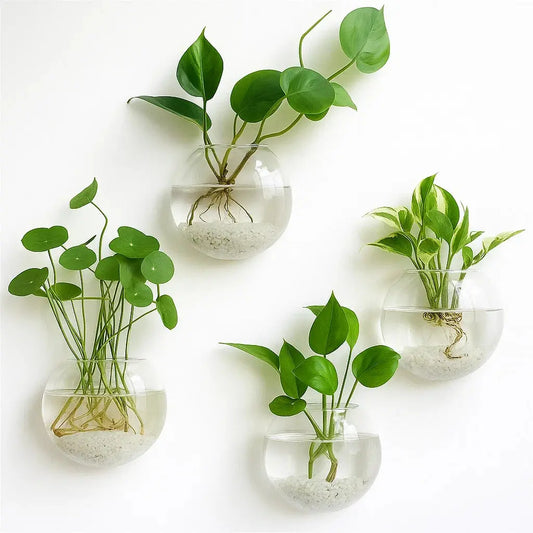 Rynx | Elegant Glass Wall Vases – For Cuttings & Decor