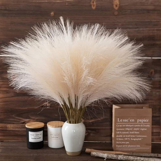 Rynx | Pampas grass
