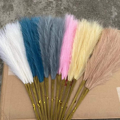 Rynx | Pampas grass