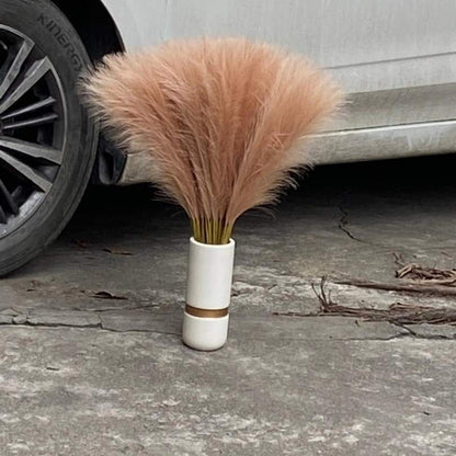 Rynx | Pampas grass