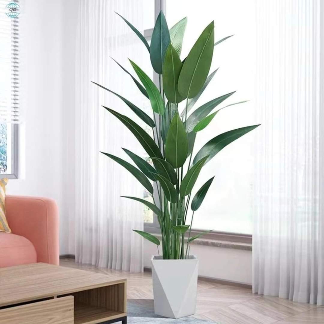 Rynx | Real Touch Strelitzia Plant