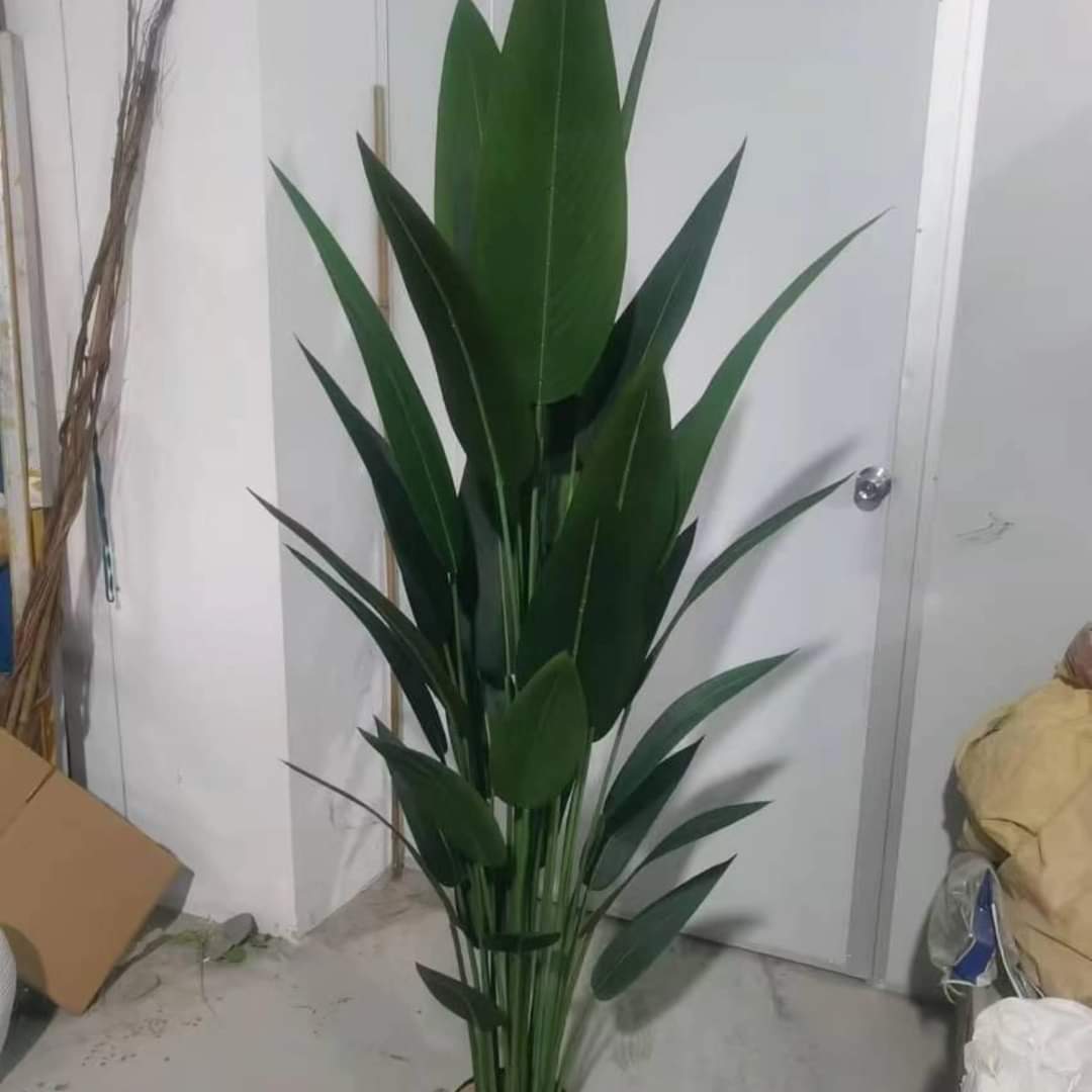 Rynx | Real Touch Strelitzia Plant