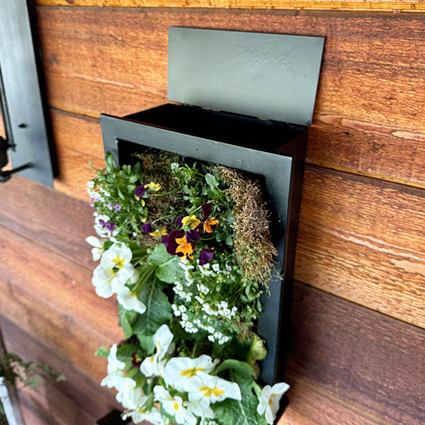 Rynx | Black Frame Living Room Wall Planter