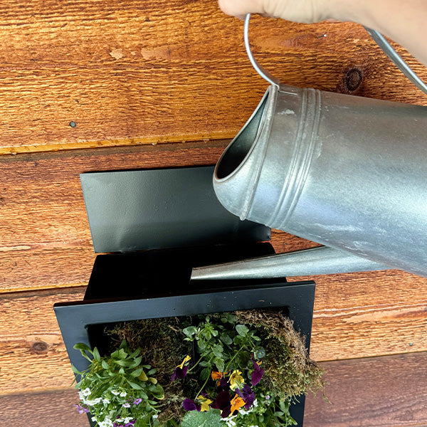 Rynx | Black Frame Living Room Wall Planter