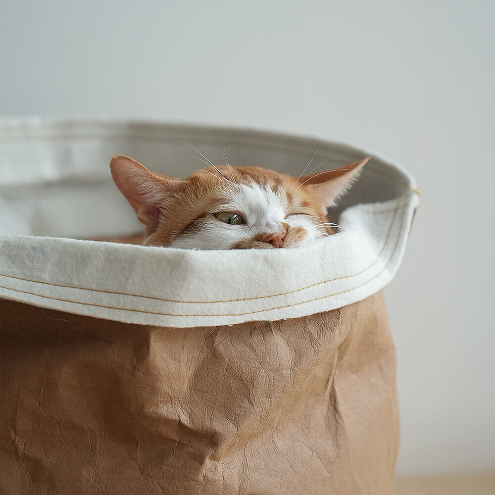 RYNX | Foldable Washable Kraft Paper Cat Bed
