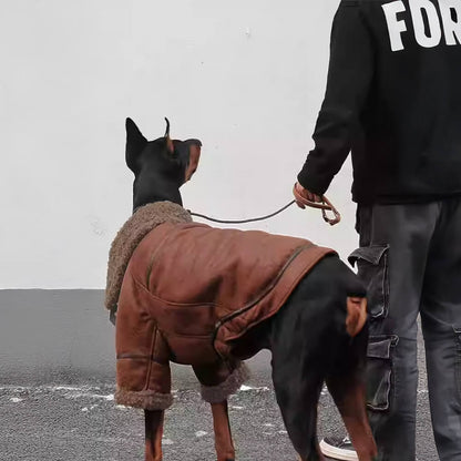 RYNX | Aviator Dog Jacket with Shearling Lining - Warm and Stylish