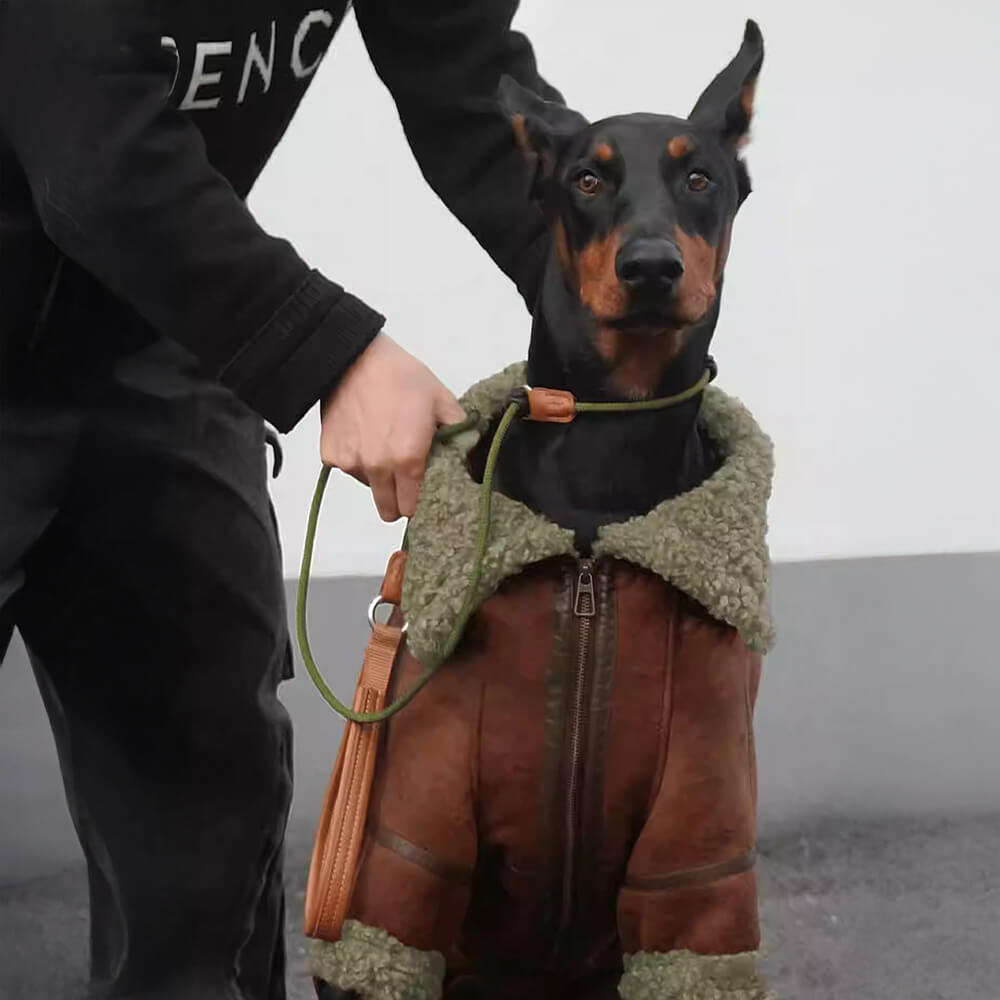 RYNX | Aviator Dog Jacket with Shearling Lining - Warm and Stylish