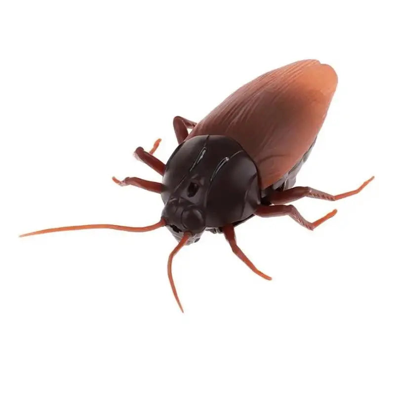 Rynx | Remote-controlled Cockroach – Realistic Crawling Effect with Glowing Eyes