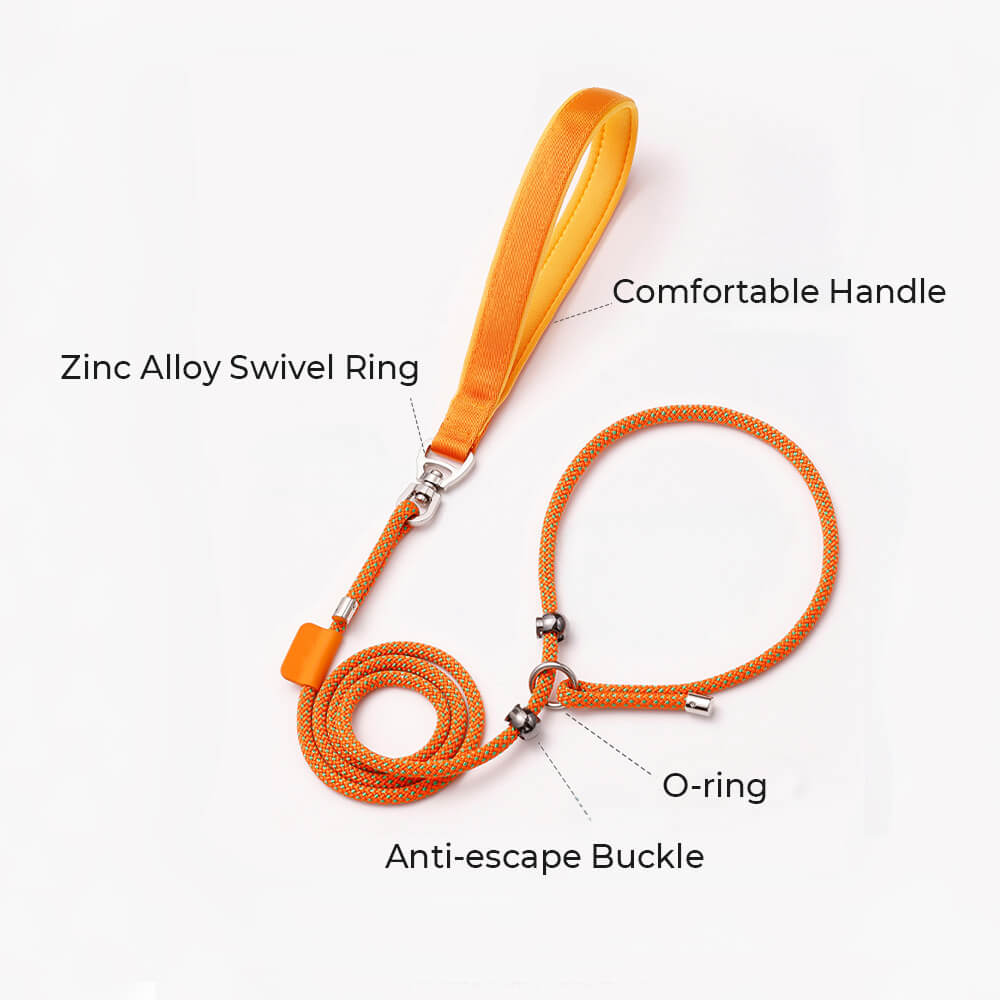 RYNX | No Pull Dog Training Leash Slip Lead with Padded Handle