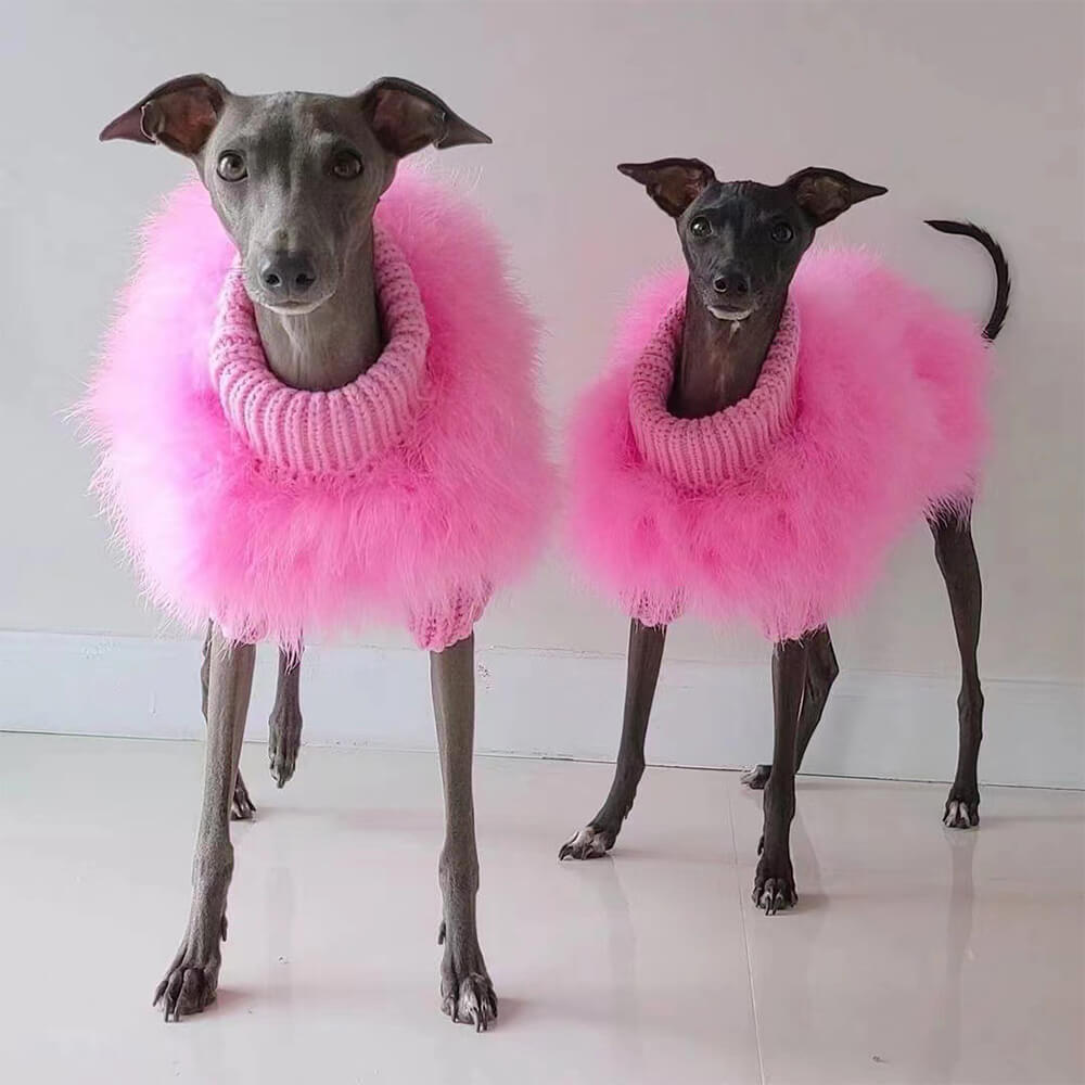 RYNX | Fluffy Fashion Luxurious Dog Turtleneck Knit Sweater