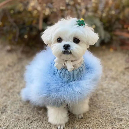 RYNX | Fluffy Fashion Luxurious Dog Turtleneck Knit Sweater