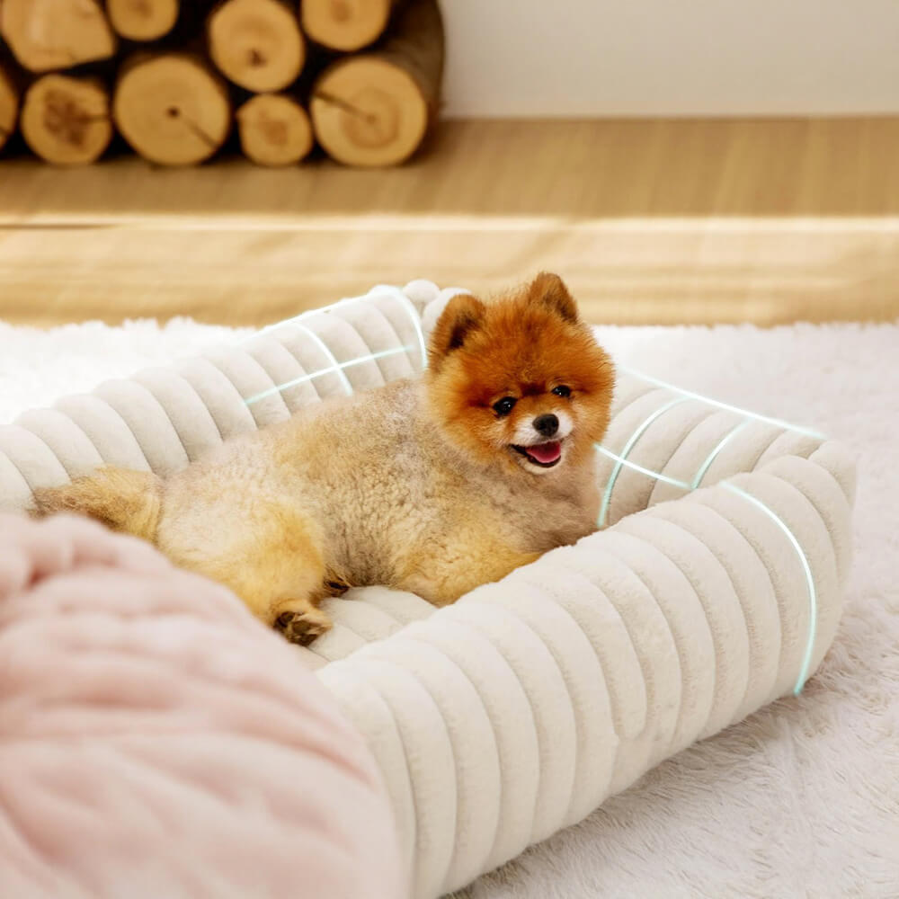 RYNX | Cozy Four-Sided Orthopedic Support Bolstered Dog & Cat Bed